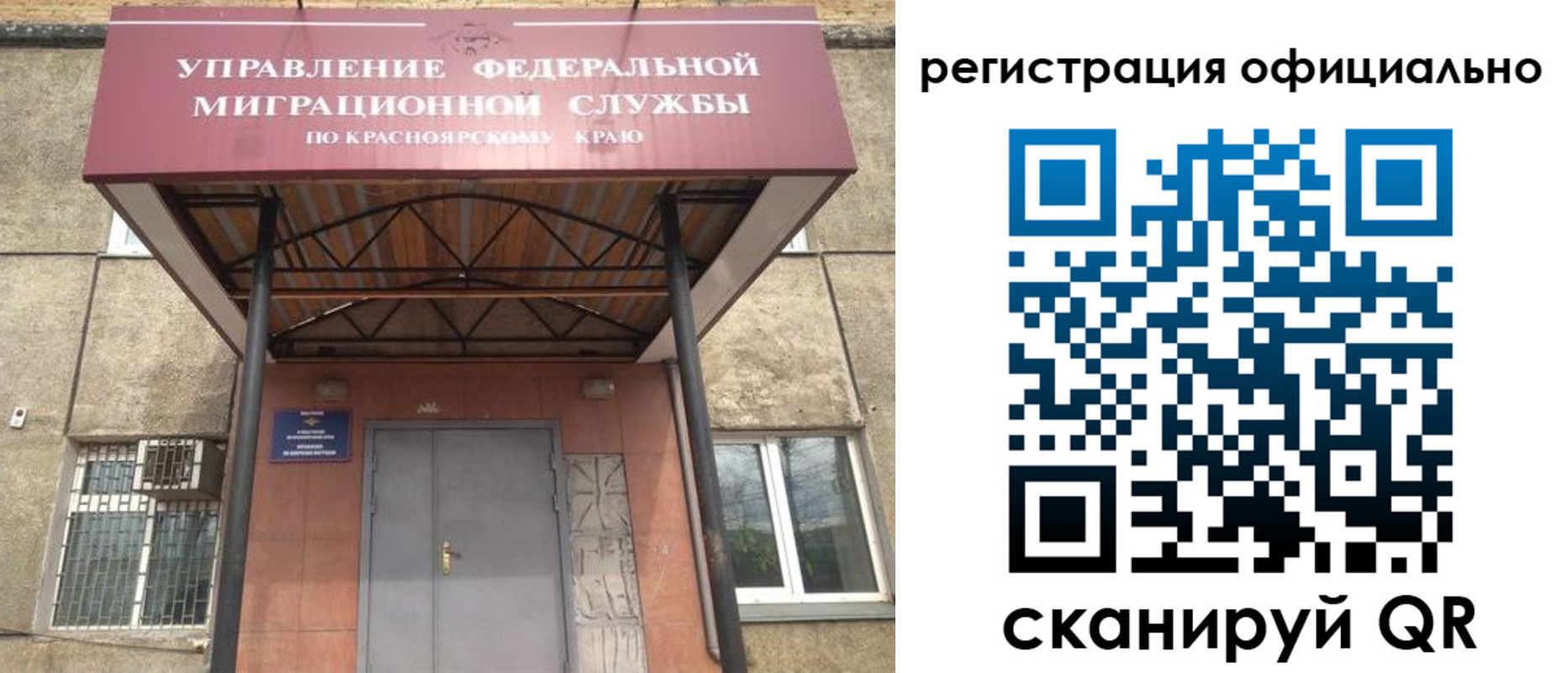 прописка гарантия в Курской области